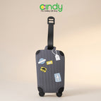 Grey Luggage
