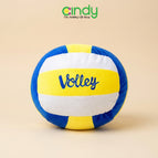 VOLLEY