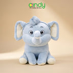 Grey / Small