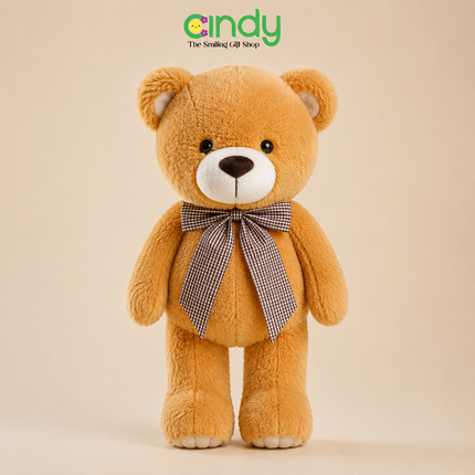 Cindy Boneka Teddy Bear Beruang Pita Lucu