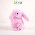Pink Rabbit