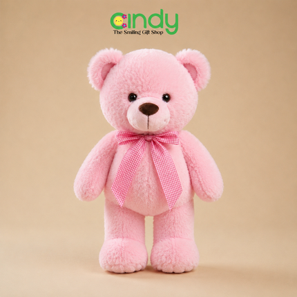 Cindy Boneka Teddy Bear Beruang Pita Lucu