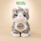 Kucing Grey