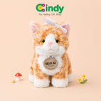 Kucing Orange