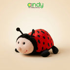 Lady Bugs