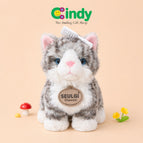 Kucing Grey