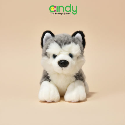 Cindy Boneka Plush Toys Hewan Lucu Mini Anak - Soft Doll Kawaii Koleksi Hadiah