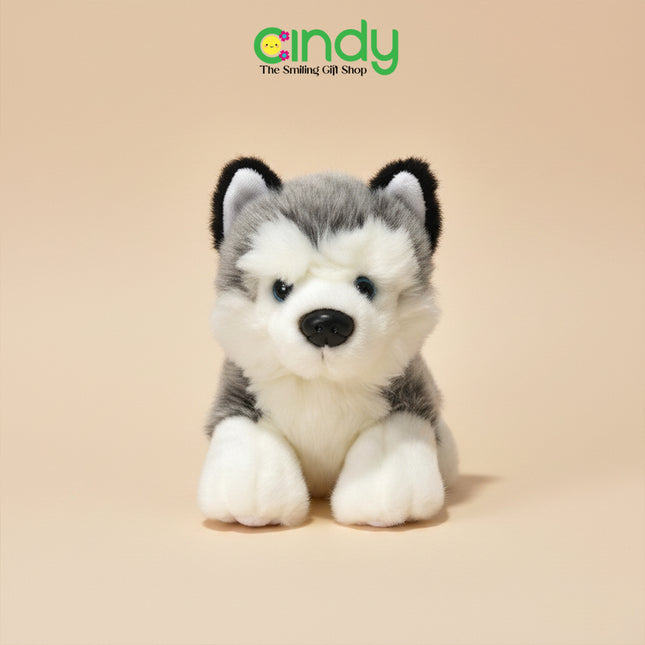 Cindy Boneka Plush Toys Hewan Lucu Mini Anak - Soft Doll Kawaii Koleksi Hadiah