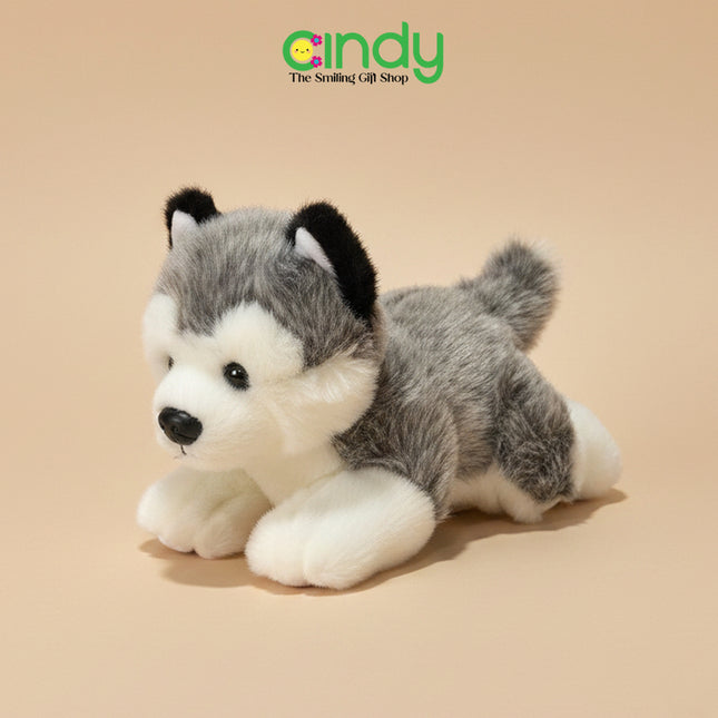 Cindy Boneka Plush Toys Hewan Lucu Mini Anak - Soft Doll Kawaii Koleksi Hadiah